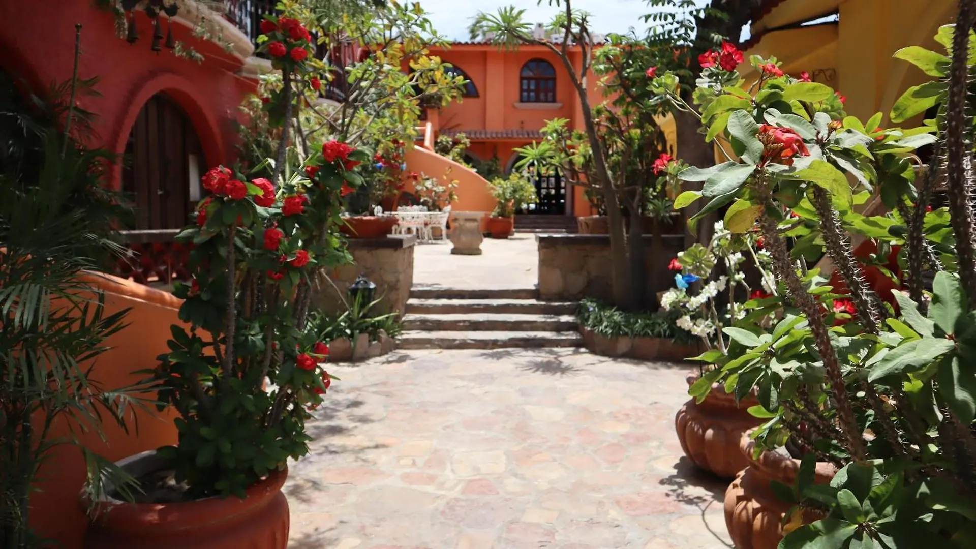 Collection O Casa Bella Hotel Boutique, Κάβο σαν Λούκας 5*,  Μεξικό