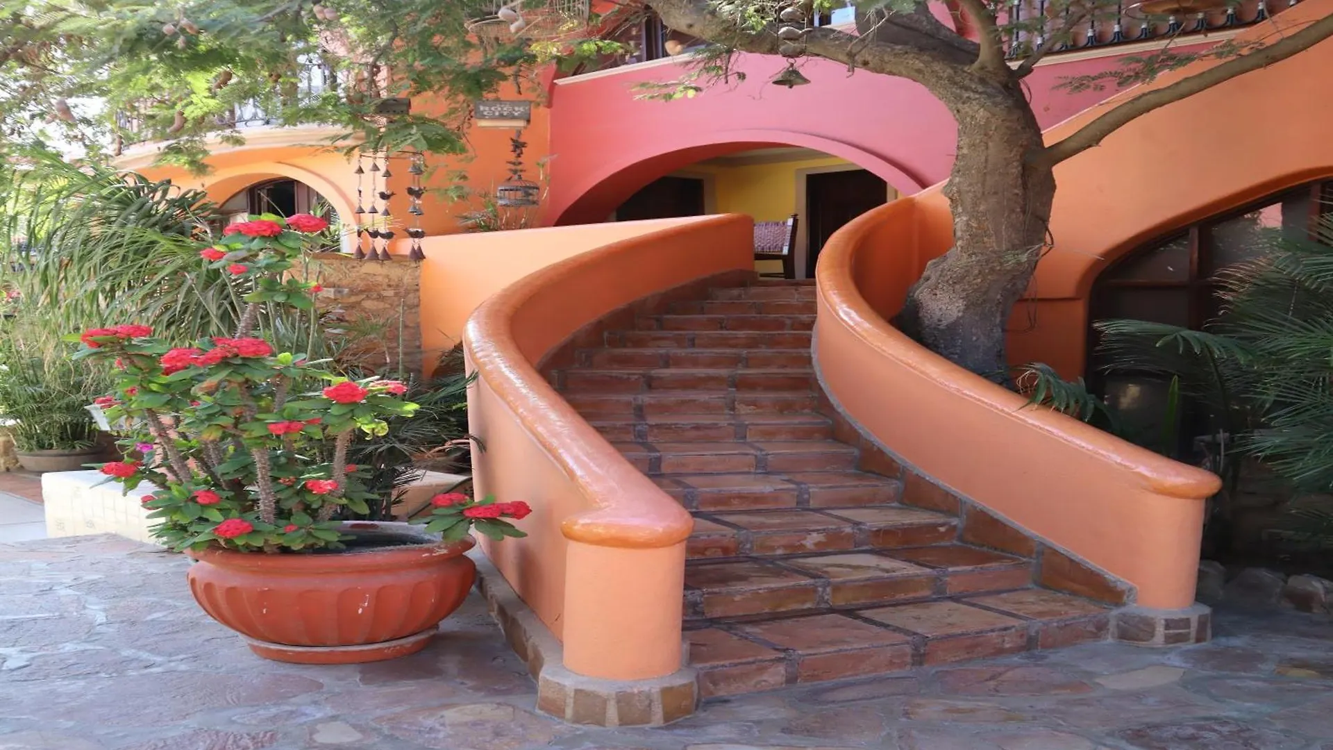 Collection O Casa Bella Hotel Boutique, Κάβο σαν Λούκας