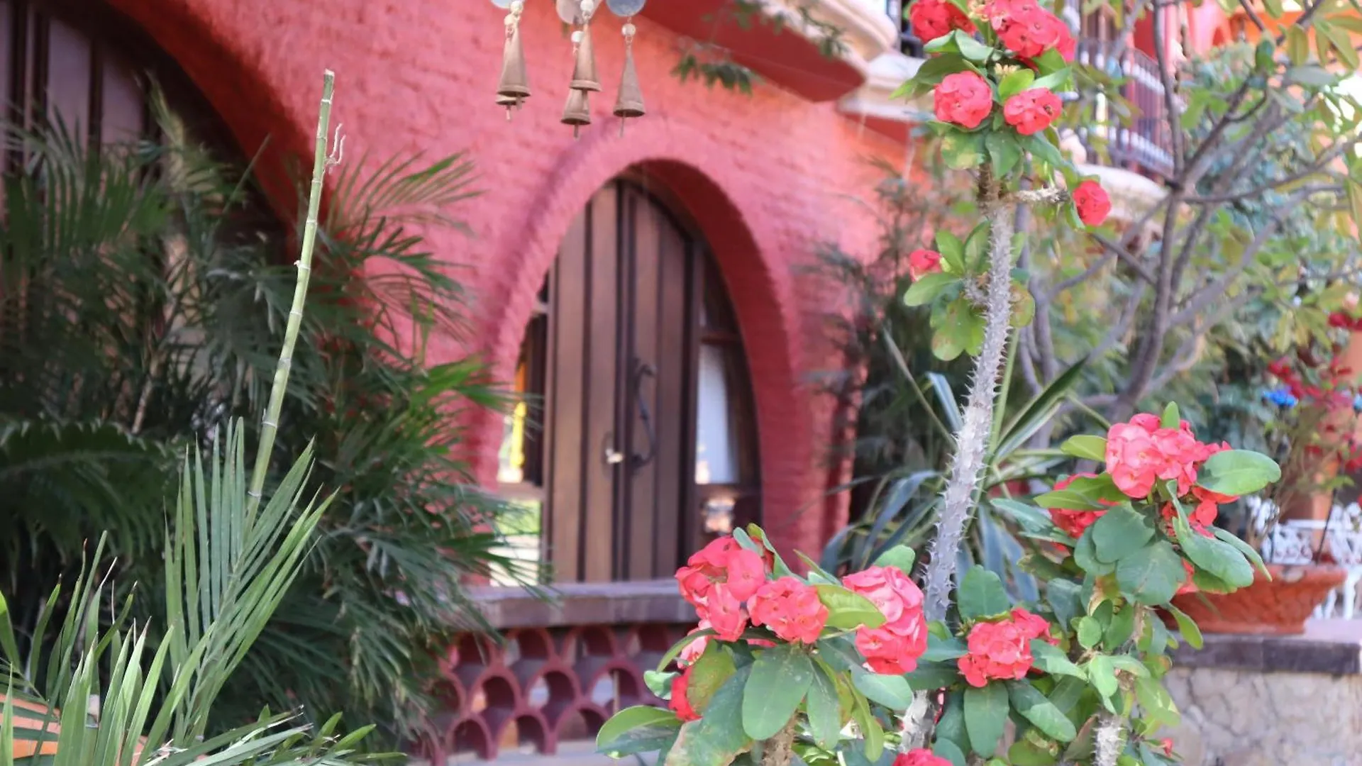 Collection O Casa Bella Hotel Boutique, Κάβο σαν Λούκας