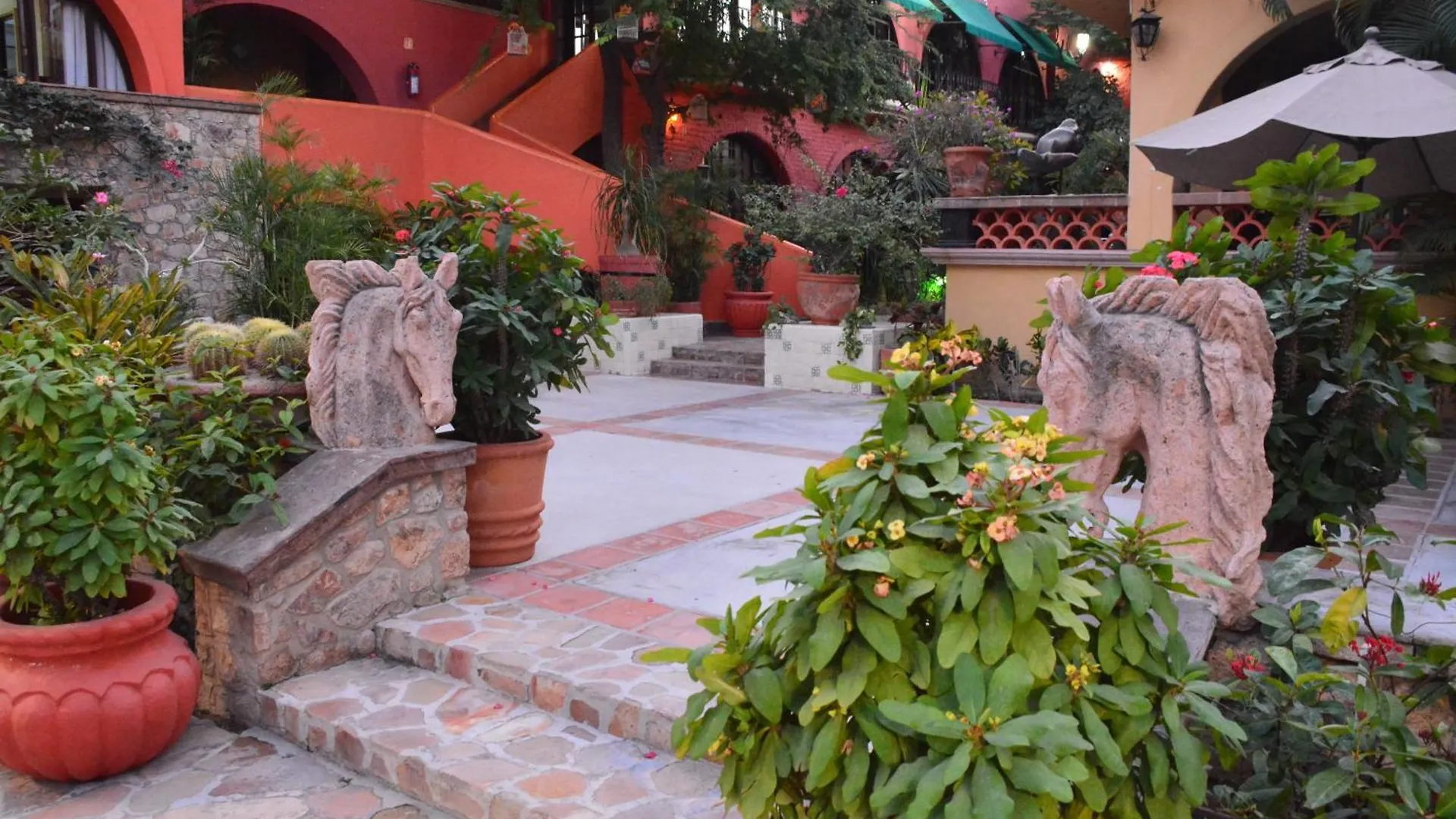 Collection O Casa Bella Hotel Boutique, Cabo San Lucas