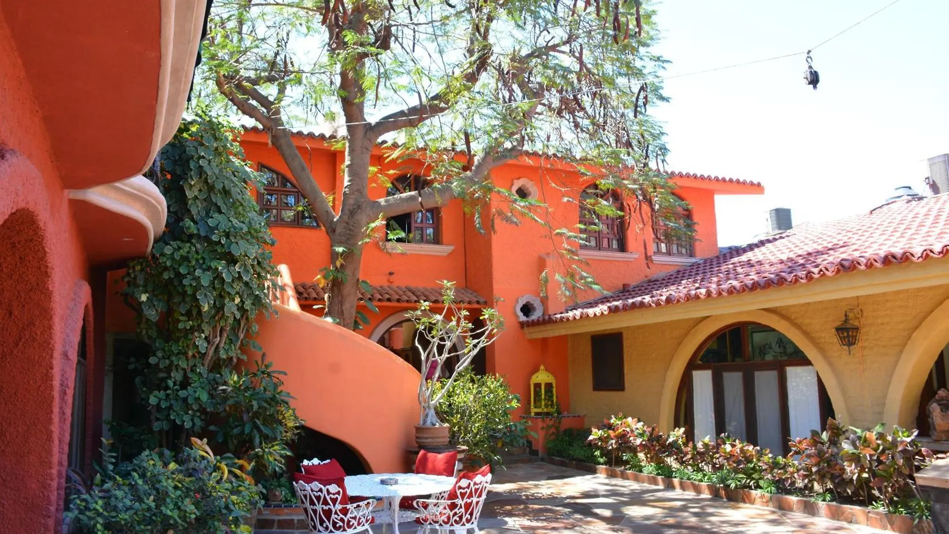 Collection O Casa Bella Hotel Boutique, Cabo San Lucas