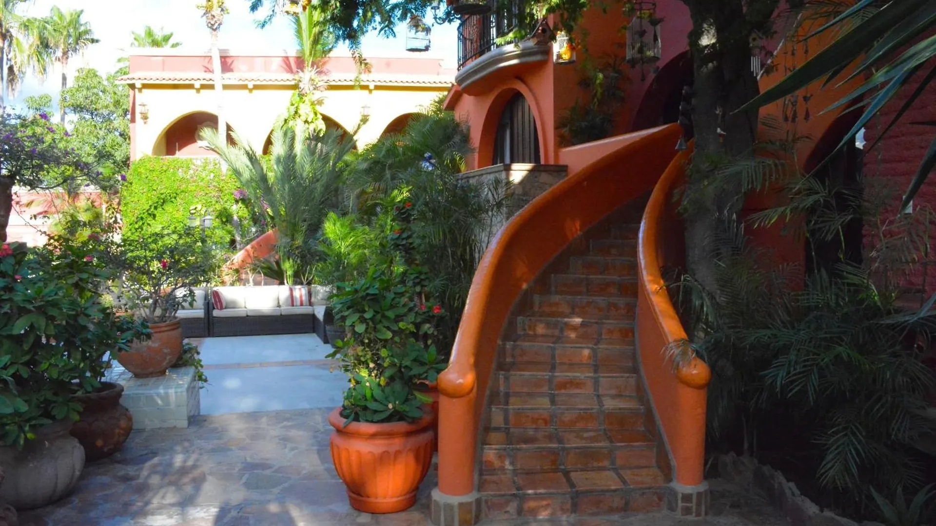 Collection O Casa Bella Hotel Boutique, Cabo San Lucas