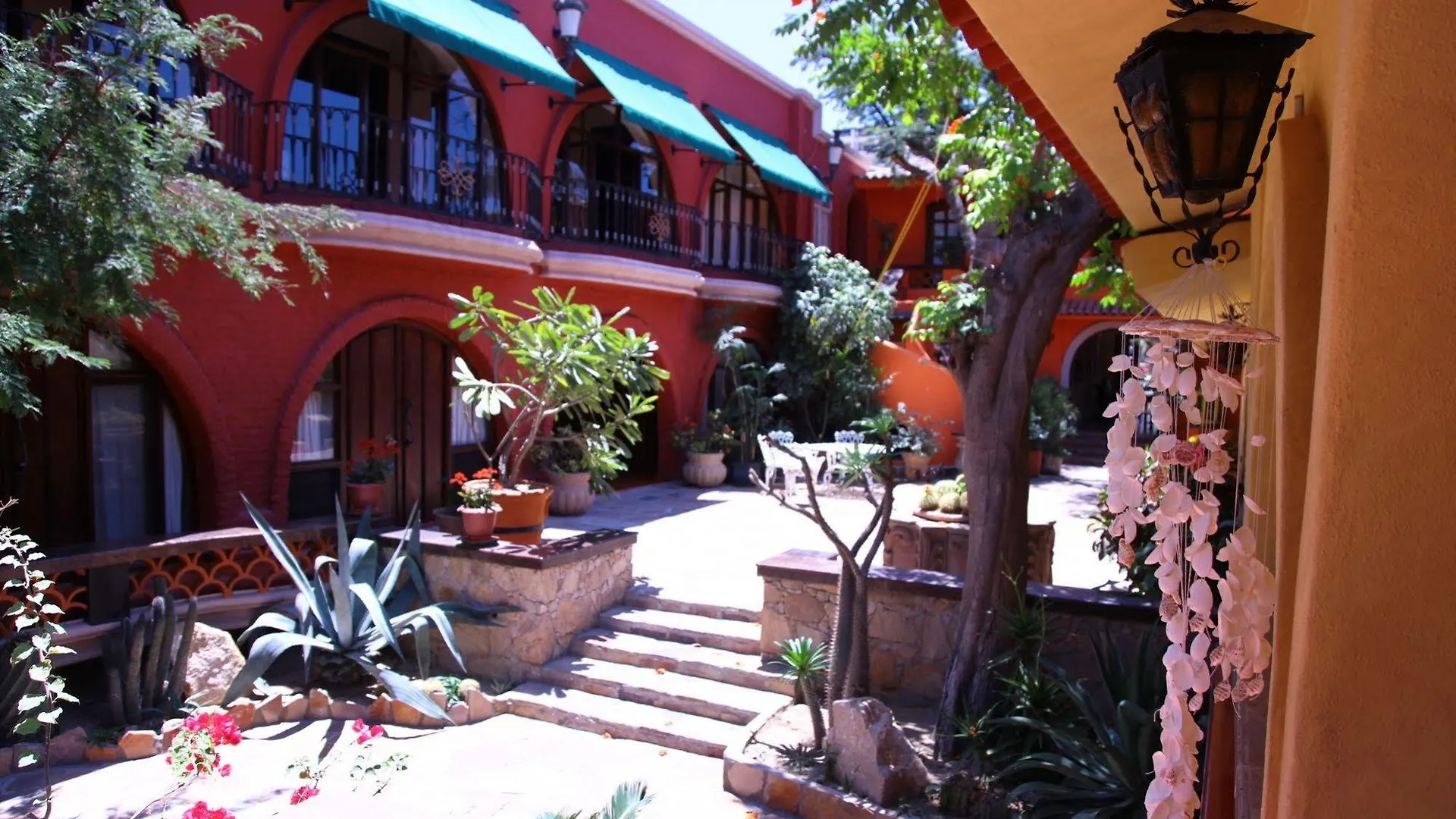Collection O Casa Bella Hotel Boutique, Cabo San Lucas 5*,