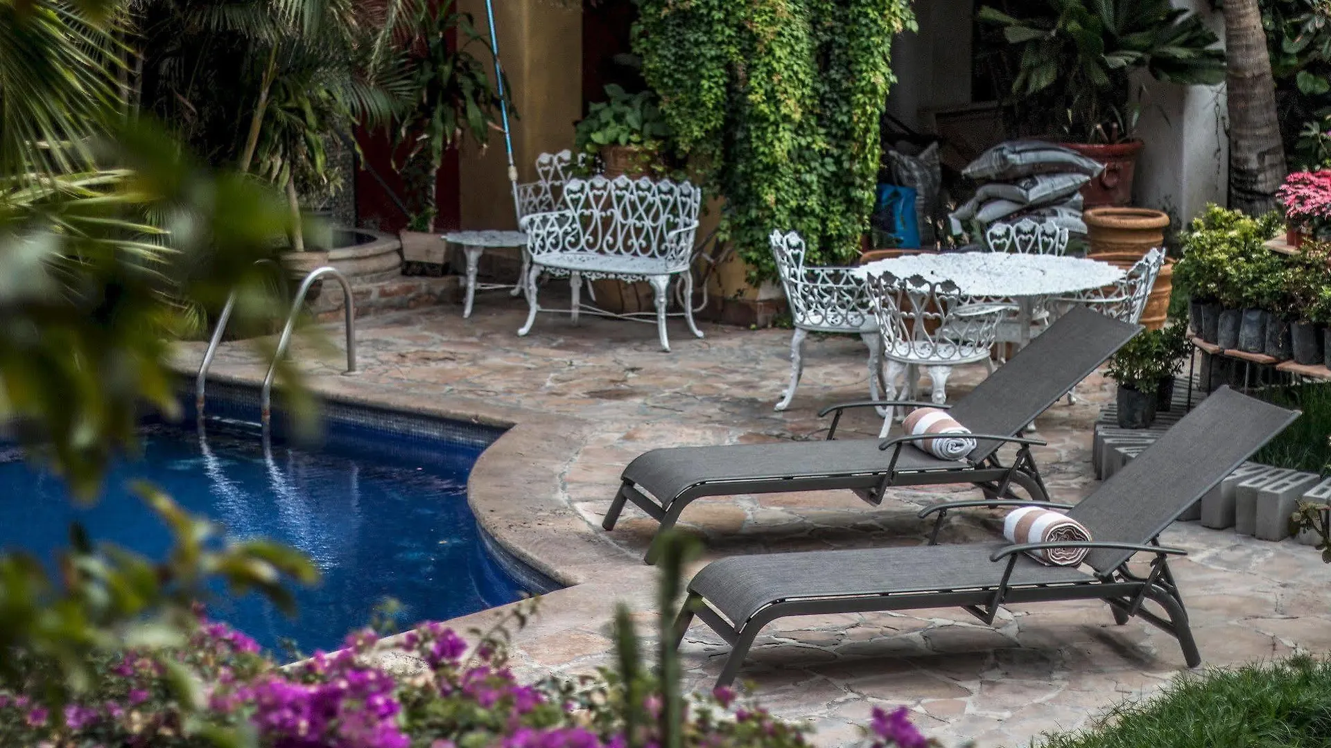 Collection O Casa Bella Hotel Boutique, קאבו סן לוקאס
