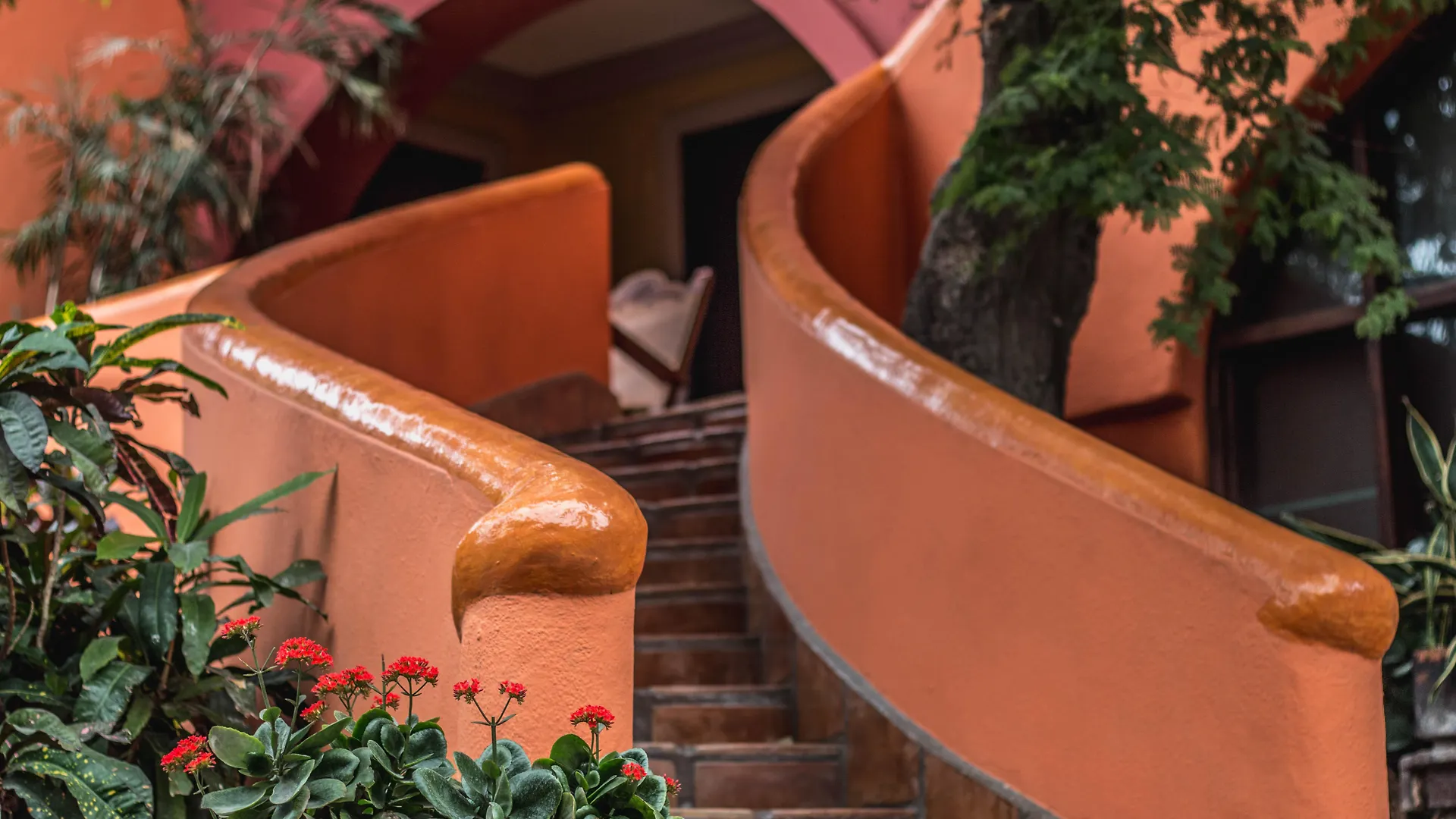 Collection O Casa Bella Hotel Boutique, Cabo San Lucas