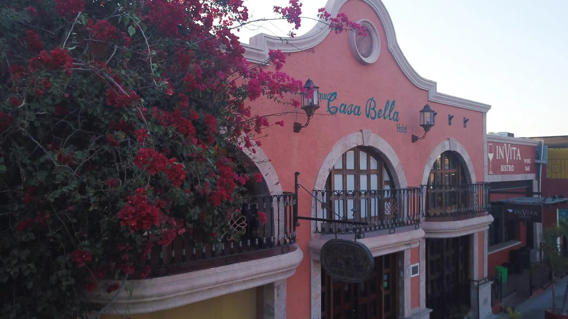 Collection O Casa Bella Hotel Boutique, Cabo San Lucas