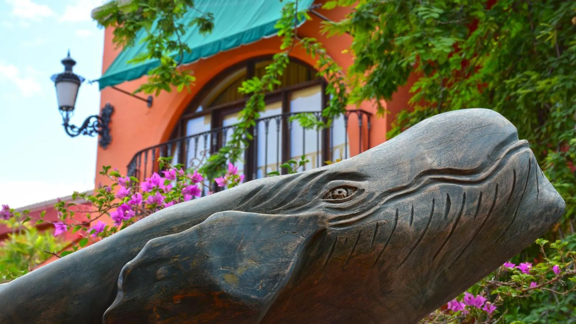 Collection O Casa Bella Hotel Boutique, Cabo San Lucas