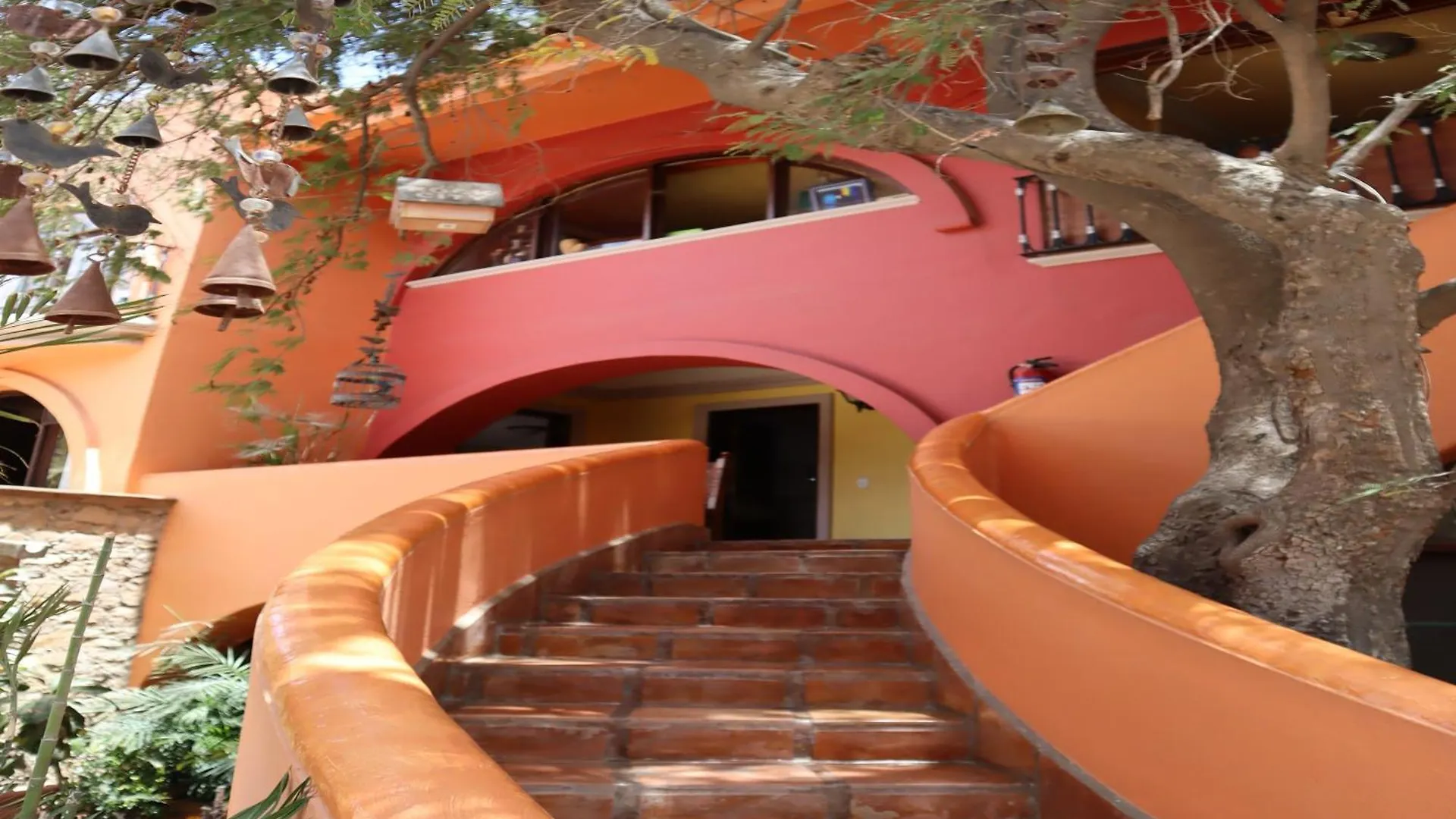 *****  Collection O Casa Bella Hotel Boutique, Cabo San Lucas Mexico