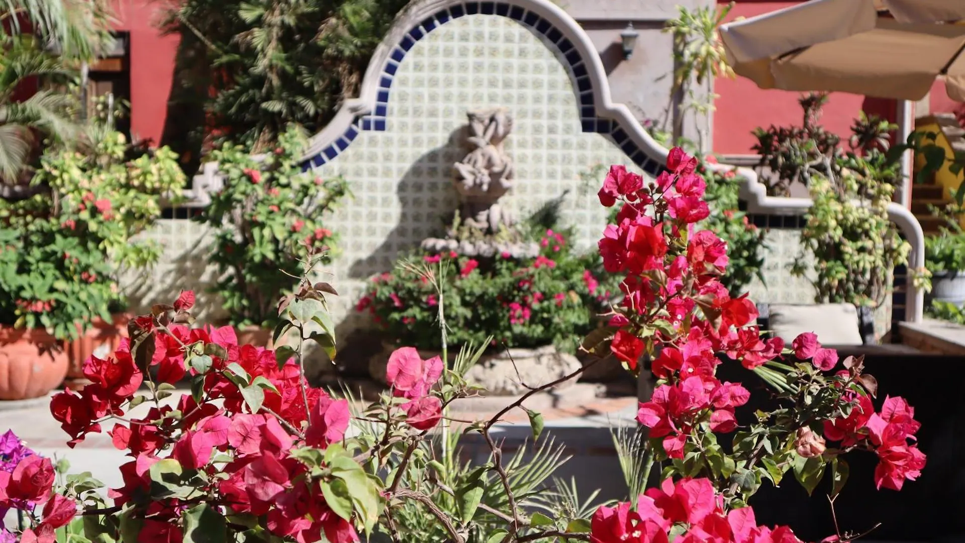Collection O Casa Bella Hotel Boutique, Cabo San Lucas